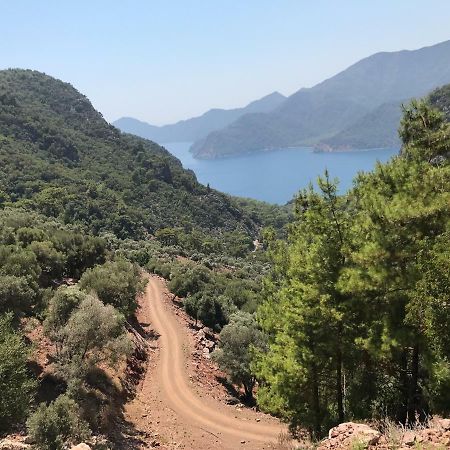 Вилла Dalyan Paradise - Haus Sophie Экстерьер фото